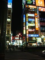 Downtown Tokyo - countrybagging.com