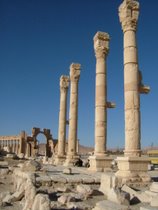 Palmyra - www.countrybagging.com