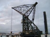 Wellington Harbour - www.countrybagging.com