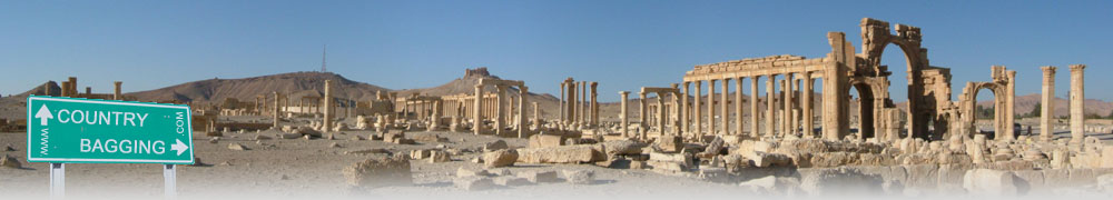 Palmyra Roman Ruins, Syria - countrybagging.com